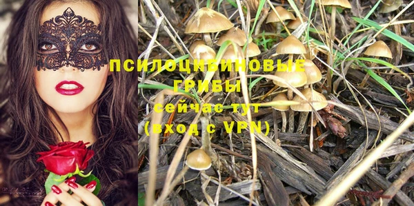 соль курить ск Алексин