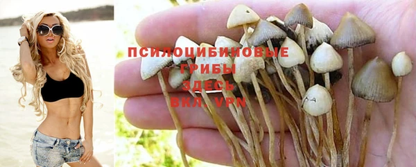 соль курить ск Алексин