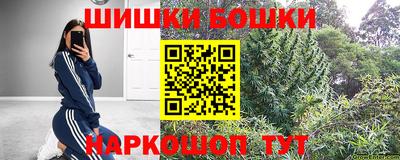 спиды Бийск