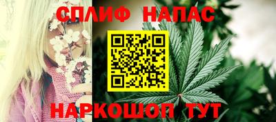 спиды Бийск