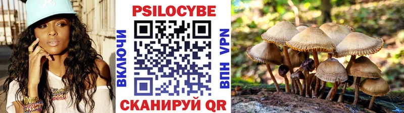 Галлюциногенные грибы GOLDEN TEACHER  кракен как войти  Дзержинский 