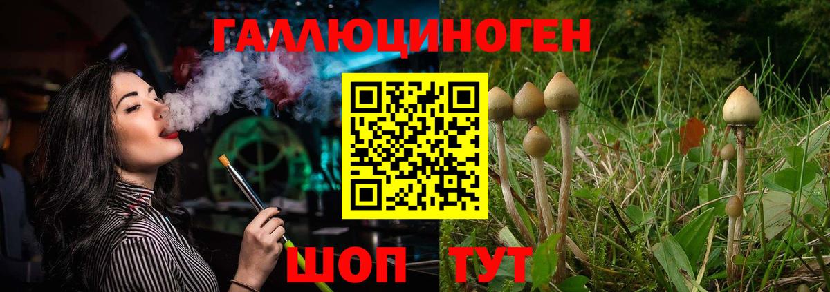 Галлюциногенные грибы ЛСД  Псилоцибиновые грибы Cubensis  Вход с VPN  Дзержинский 